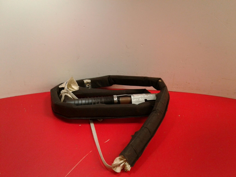 Airbag cortina esquerdo RENAULT Scénic II (JM0/1_)