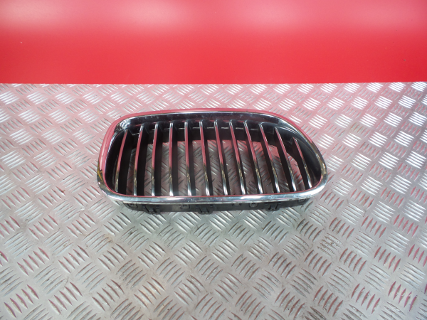 Front grille BMW 5 (F10)