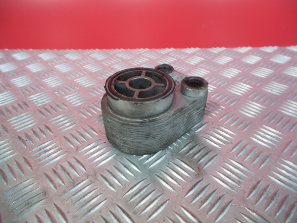 Radiador do óleo RENAULT Megane II (BM0/1_, CM0/1_)