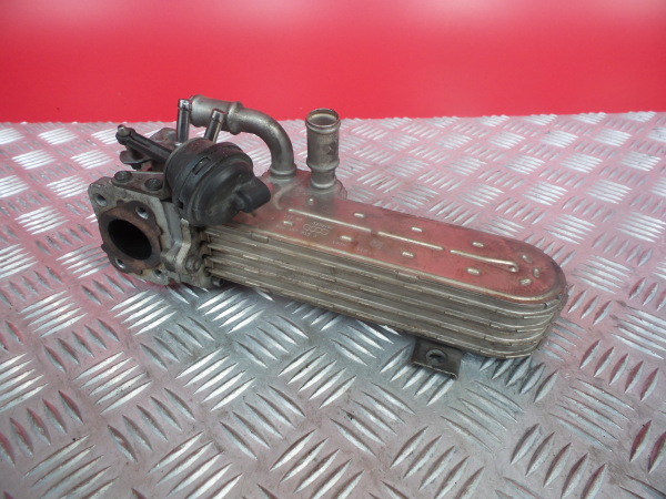Radiador de gases / EGR VOLKSWAGEN Golf Plus (5M1, 521)