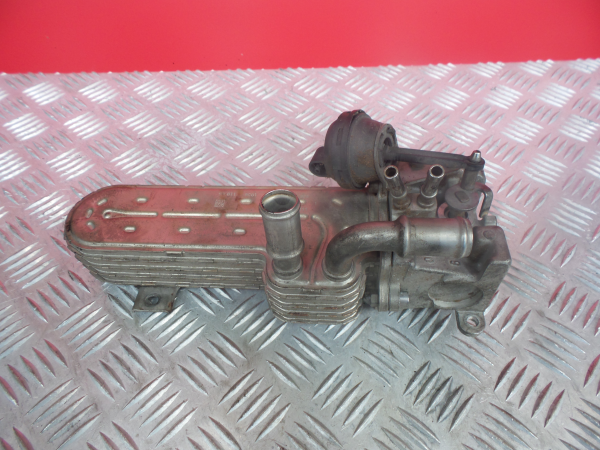 Radiador de gases / EGR VOLKSWAGEN Golf Plus (5M1, 521) Imagem-5