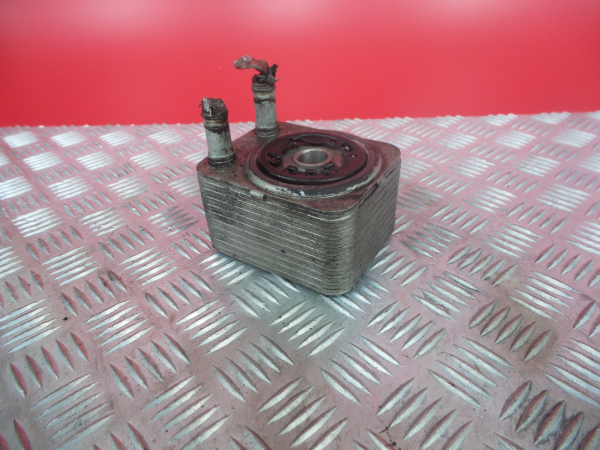 Radiador do óleo VOLKSWAGEN Golf Plus (5M1, 521)