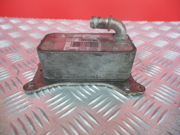 Radiador do óleo MERCEDES-BENZ Classe C (W204) Imagem-1