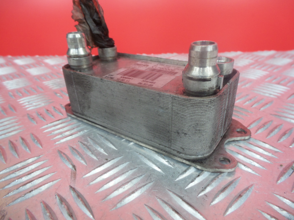 Radiador do óleo MERCEDES-BENZ Classe C (W204) Imagem-1