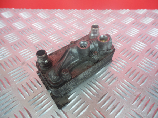 Radiador do óleo MERCEDES-BENZ Classe S (W222, V222, X222) Imagem-1