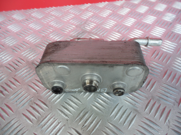 Radiador do óleo BMW 3 (E46) Imagem-4