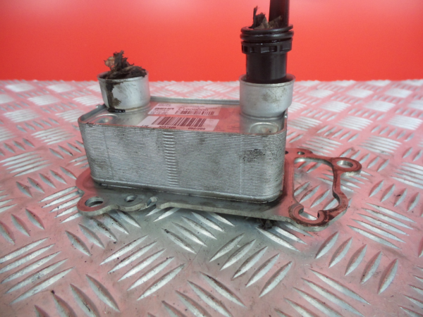 Radiador do óleo BMW 3 (E90) Imagem-1