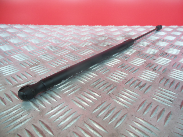 Ammortizzatore Bagagliaio FORD Fiesta VI (CB1, CCN)