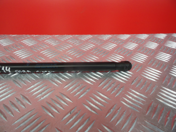 Ammortizzatore Bagagliaio FORD Focus C-Max (DM2) Imagem-2