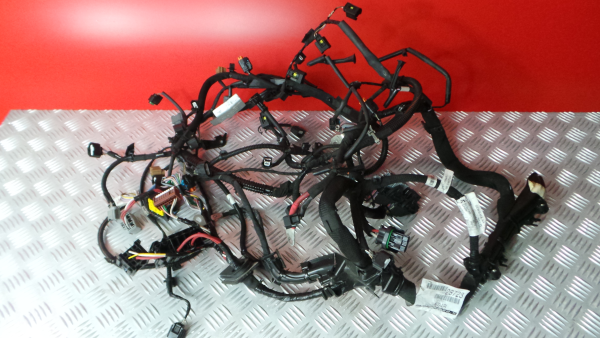 Cablagem motor RENAULT Megane IV Grandtour (K9A/M_)