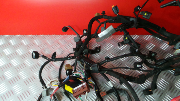 Engine wiring RENAULT Megane IV Grandtour (K9A/M_) Imagem-1