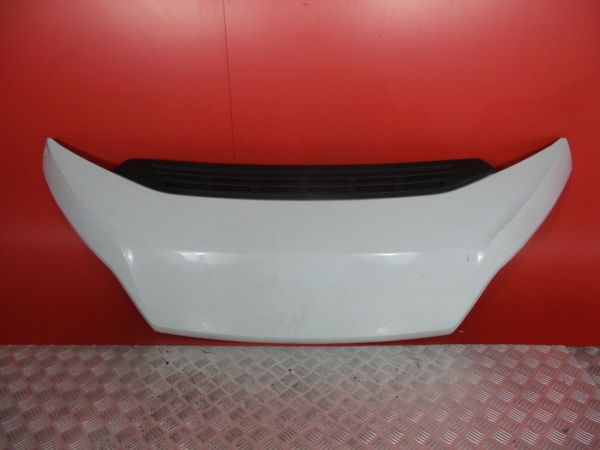 Cofano FIAT Ducato (250_, 290_)