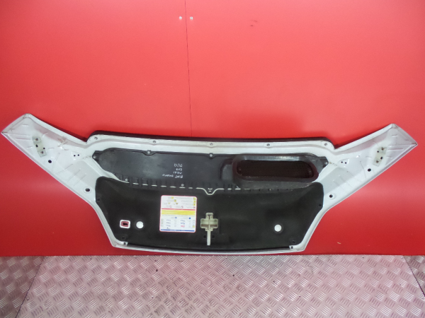 Cofano FIAT Ducato (250_, 290_) Imagem-4