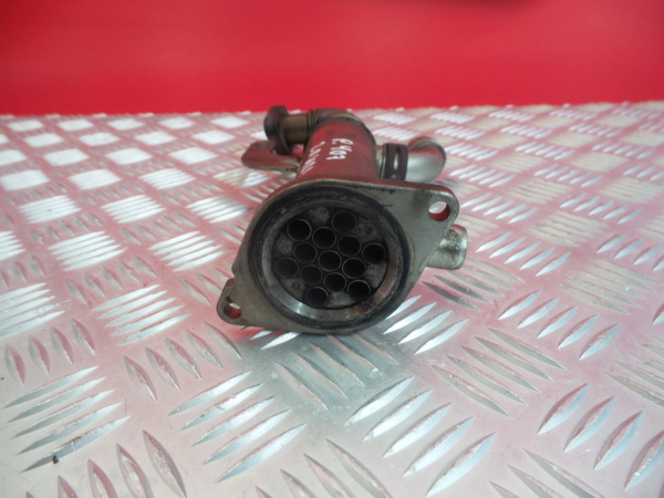 Radiador de gases / EGR PEUGEOT 407 (6D_) Imagem-1