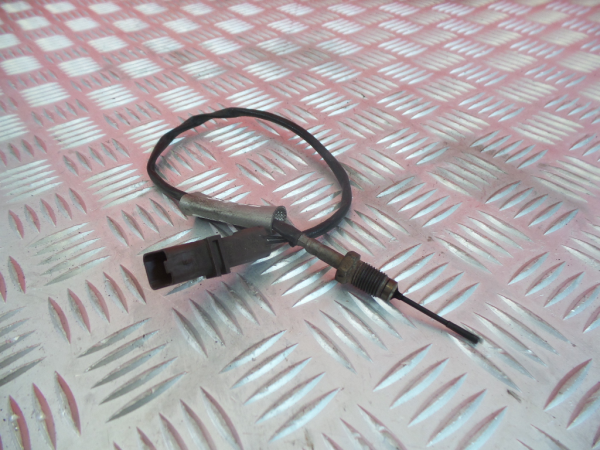 Sonda lambda PEUGEOT 407 (6D_) Imagem-2