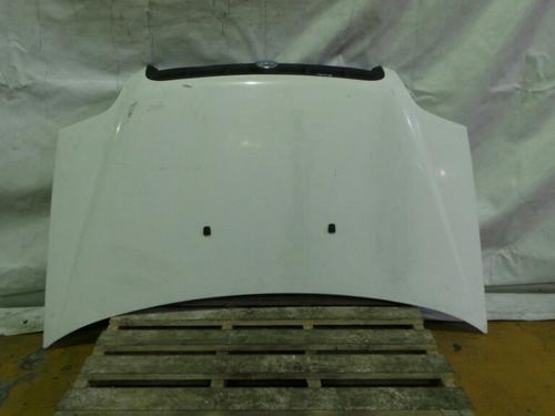 Capot FIAT Doblo Combi (119_, 223_)