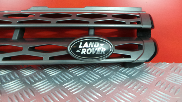 Front grille LAND ROVER Range Rover Evoque (L538) Imagem-1