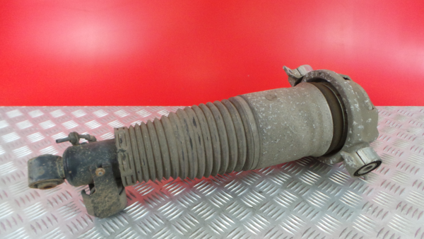 Right Rear Shock Absorber VOLKSWAGEN Touareg (7L) Imagem-1