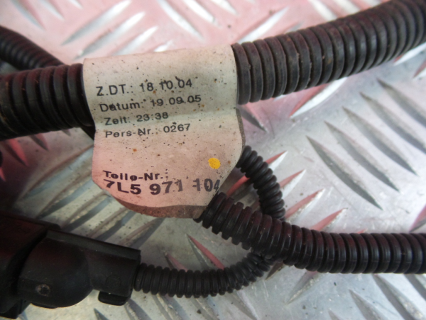 Cablaggio motore PORSCHE Cayenne (9PA) Imagem-6