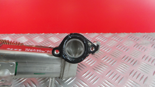 Radiador de gases / EGR NISSAN Qashqai II (J11) Imagem-1