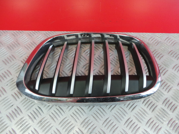 Grelha frente BMW X1 (F48)
