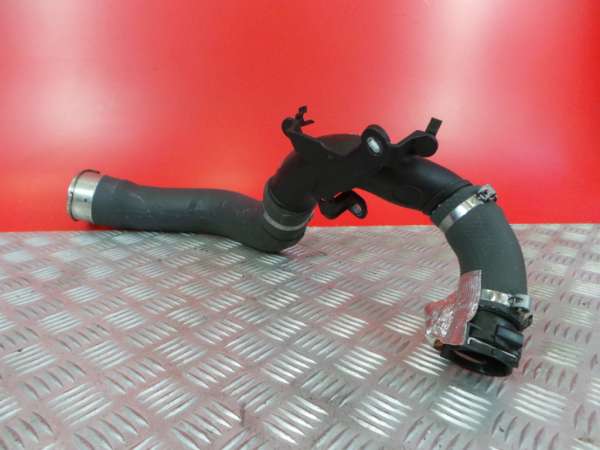 Tubo do intercooler RENAULT Megane IV (B9A/M_) Imagem-3