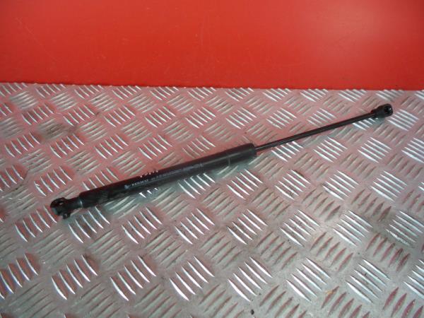 Amortecedor do capot RENAULT Megane IV (B9A/M_)