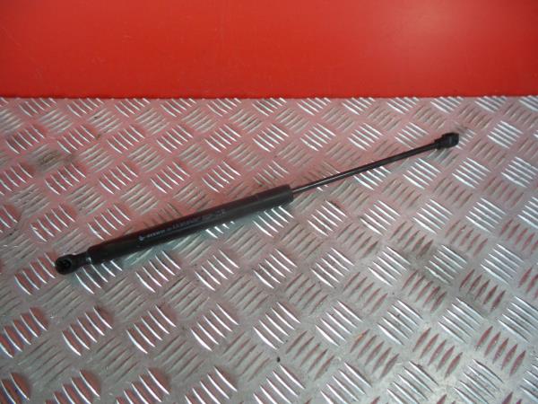 Amortecedor do capot RENAULT Megane IV (B9A/M_)