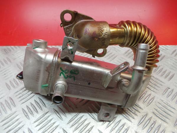 Radiador de gases / EGR NISSAN Qashqai II (J11) Imagem-1