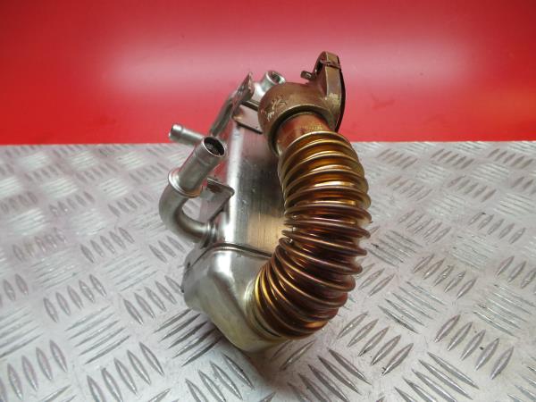 Radiador de gases / EGR NISSAN Qashqai II (J11) Imagem-2