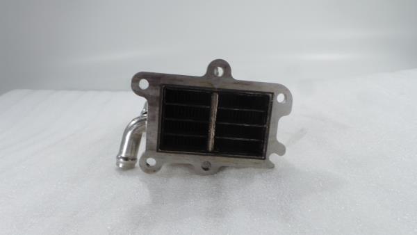 Radiador de gases / EGR MERCEDES-BENZ GLC (X253) Imagem-1