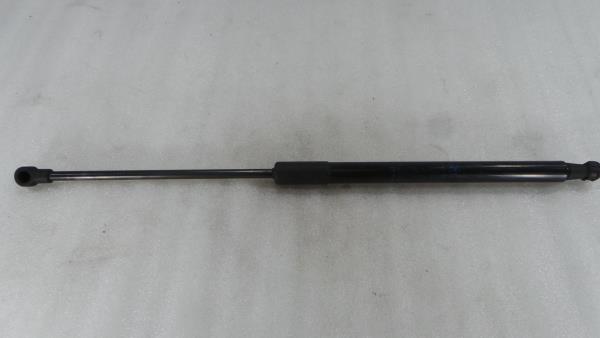 Ammortizzatore Bagagliaio BMW 1 (F20)