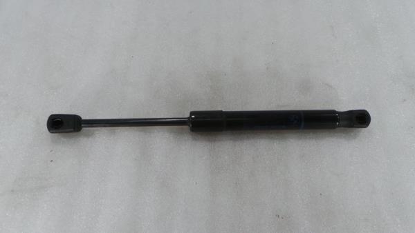 Amortecedor do capot BMW 1 (F20)