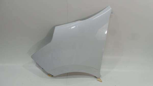 Left fender RENAULT Master III (FV)