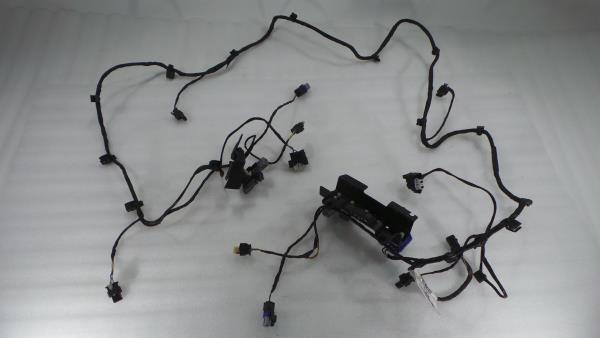 Engine wiring LAND ROVER Range Rover Evoque (L538)