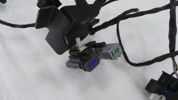 Engine wiring LAND ROVER Range Rover Evoque (L538) Imagem-1