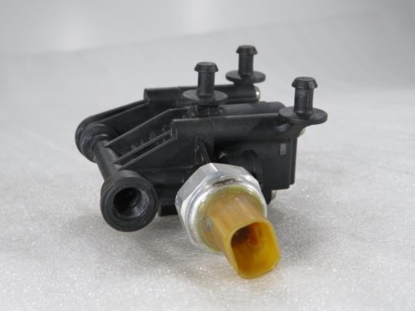 Allgemeines Ventil LAND ROVER Range Rover Sport (L320) Imagem-3