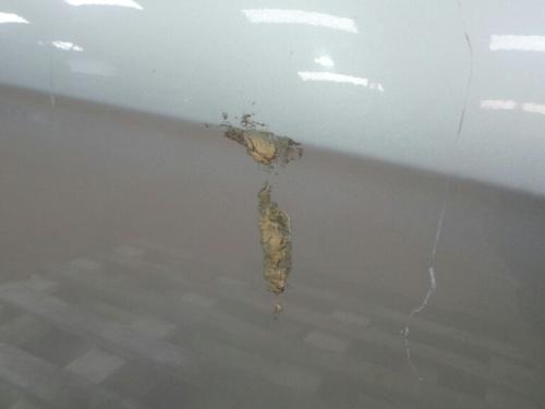 Porte avant Droite HONDA Accord VII Sedan (CL_, CN_) Imagem-3