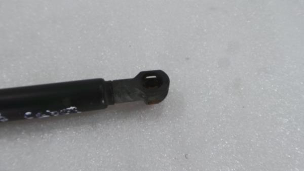 Hood Damper LAND ROVER Range Rover Sport (L320) Imagem-1