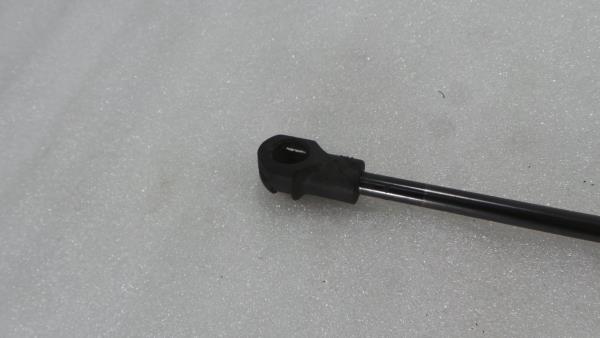 Hood Damper LAND ROVER Range Rover Sport (L320) Imagem-2