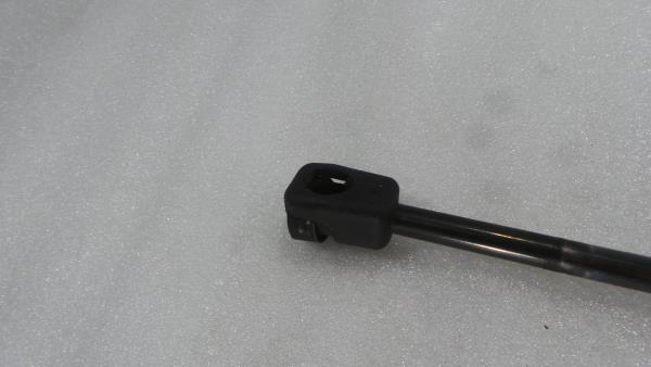 Trunk Shock Absorber LAND ROVER Range Rover Sport (L320) Imagem-2