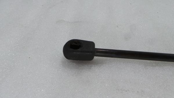 Trunk Shock Absorber LAND ROVER Freelander 2 (L359) Imagem-1