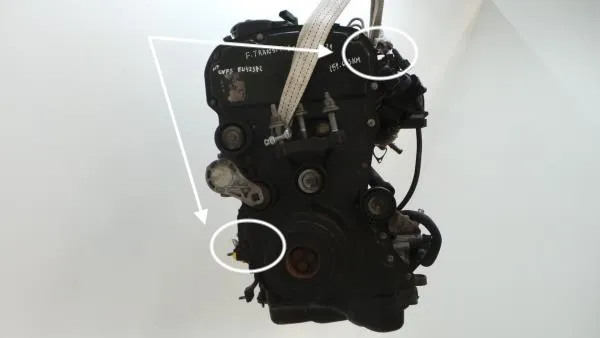 Motor completo FORD Transit