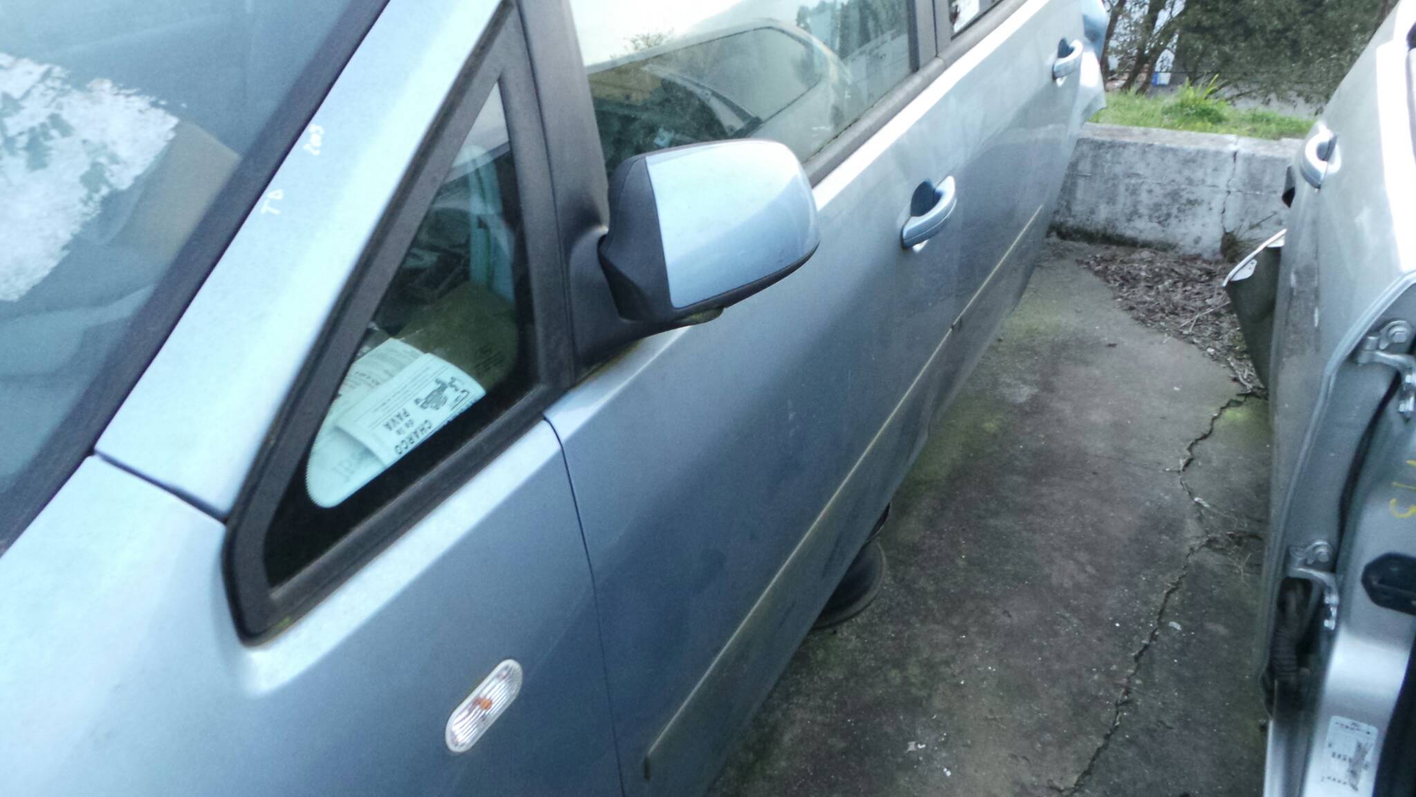 Porta anteriore sinistra FORD Focus C-Max (DM2)