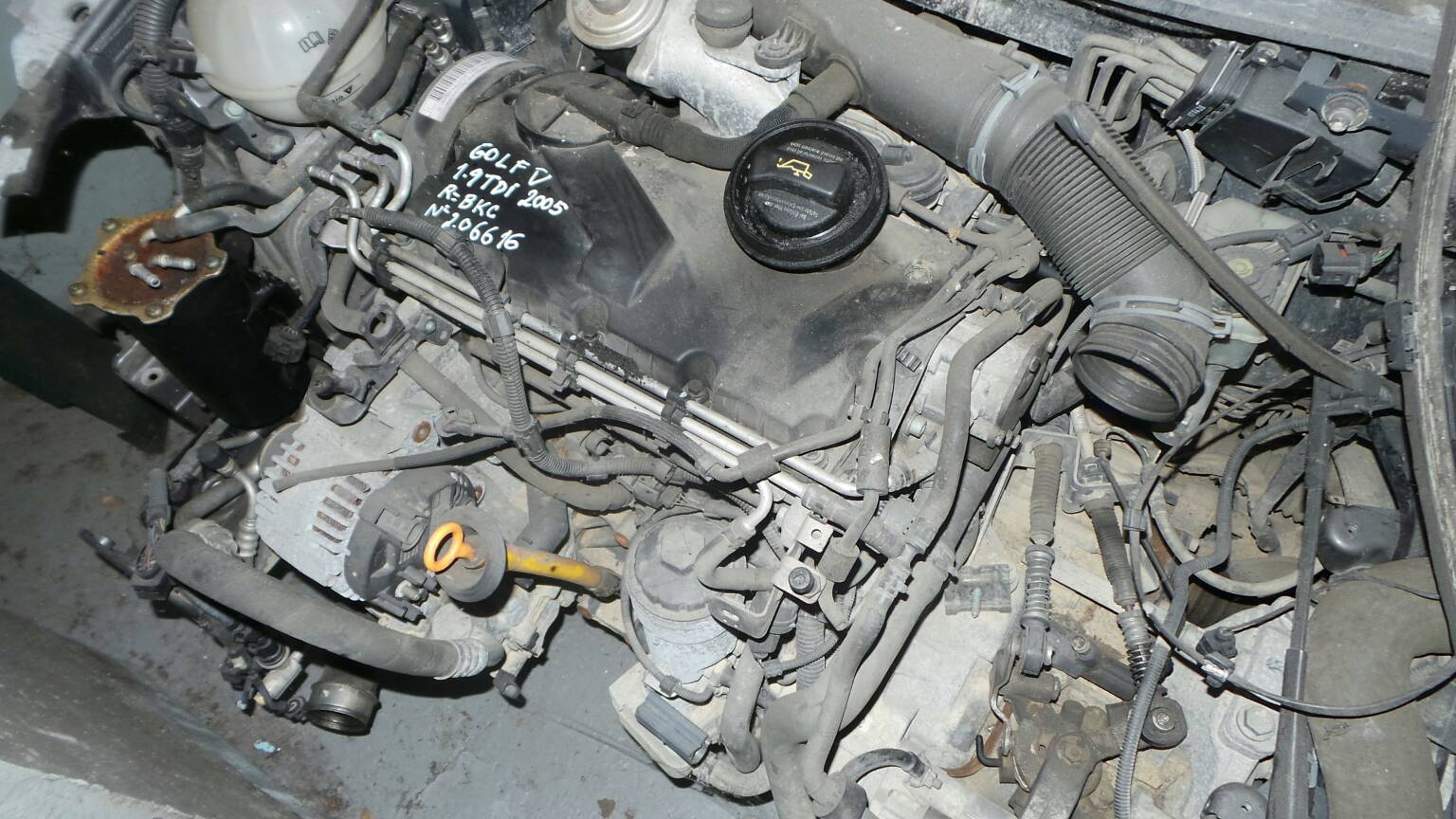 Moteur complet VOLKSWAGEN Golf V (1K1) Imagem-1