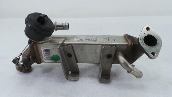 Radiador de gases / EGR NISSAN Qashqai/Qashqai+2 I (J10, JJ10)