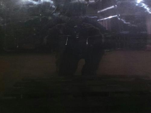 Porta trás esquerda CITROËN C4 I (LC_) Imagem-1