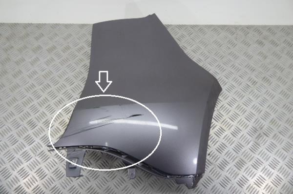 Plástico genérico RENAULT Scénic III (JZ0/1_)