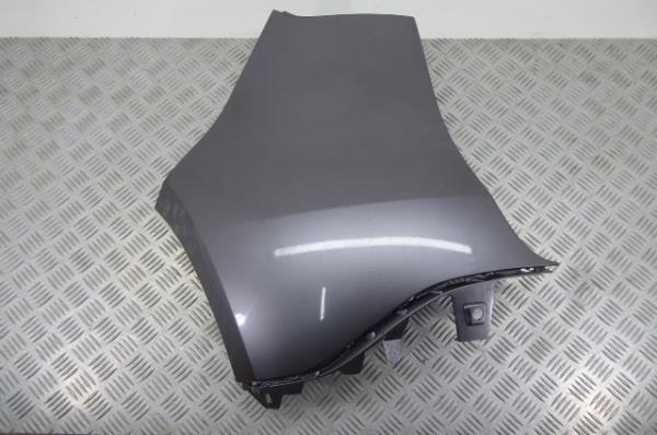 Generic Plastic Part RENAULT Scénic III (JZ0/1_)