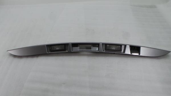 Plástico genérico RENAULT Scénic III (JZ0/1_)